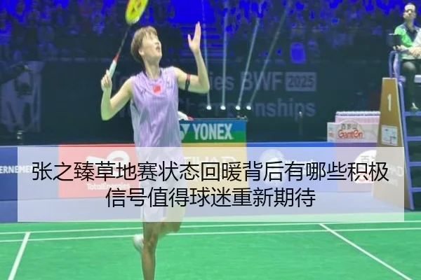 张之臻草地赛状态回暖背后有哪些积极信号值得球迷重新期待